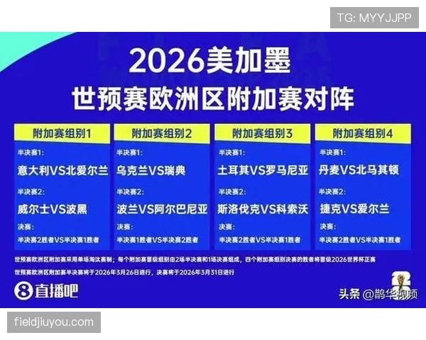2026世界杯波黑队能否突破历史晋级正赛 关键预选赛形势分析 2026世界杯波黑队能否突破历史晋级正赛 关键预选赛形势分析